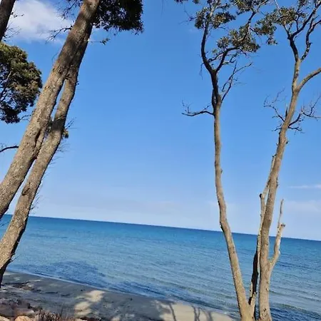 Maison Individuelle La Salamandre Bleutee Semesterbostad Santa-Maria-Poggio (Corsica)
